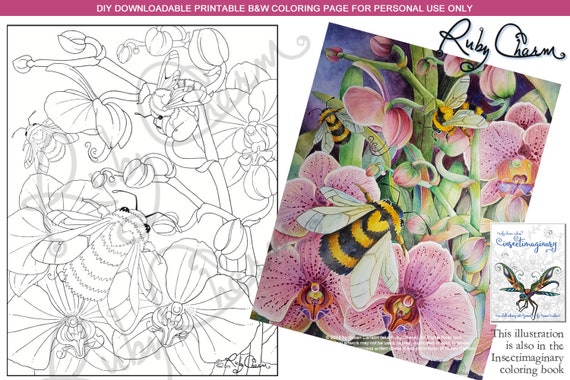 Insectimaginary Orchid Bumbles Bumblebee Downloadable Pdf By Etsy