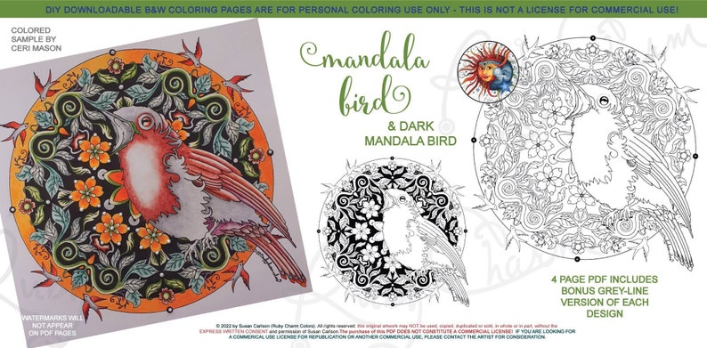 Mandala Bird: downloadable 4-page PDF, coloring page, print, color, adult colouring, birdy, flowers, night, dark background image 1