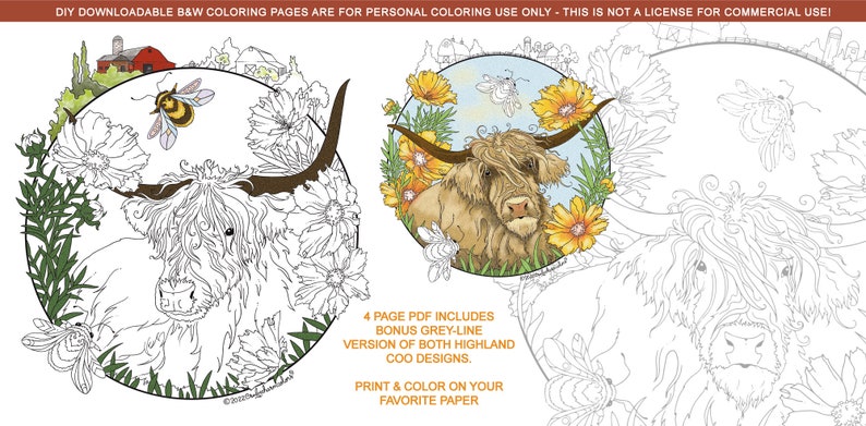 Highland Coo: downloadable PDF, 2 cow designs with bonus grey-line versions, 4 pages total, Scottish cows, farm, barns, flowers, birds image 2