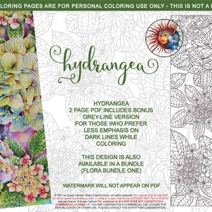Może przedstawiać: Drukowalna strona do kolorowania przedstawiająca szczegółową ilustrację hortensji. Obraz zawiera tytuł "hydrangea" i tekst opisujący produkt jako 2-stronicowy plik PDF z dodatkową wersją w odcieniach szarości.