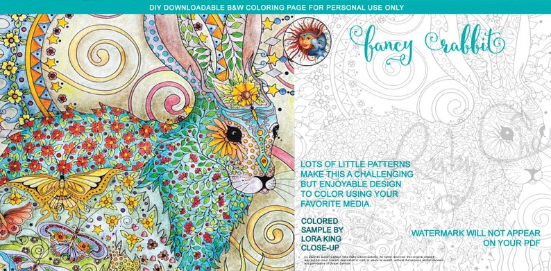 Fancy Rabbit Colors Fancy Rabbit: Downloadable PDF Coloring Page by Ruby Charm Colors ...