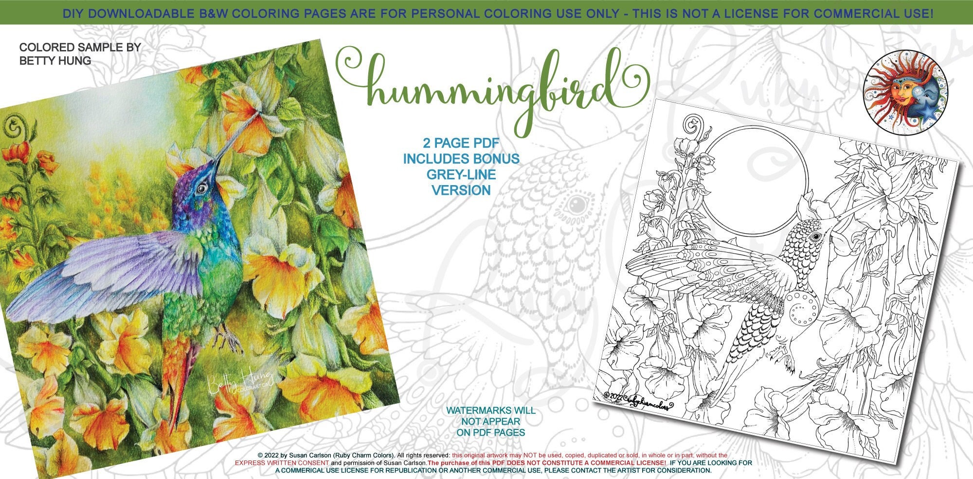 Color & Frame - Fresh Flowers (Adult Coloring Book) (Spiral)
