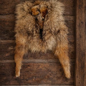 Vintage Trappers coyote Fur Hide Hand muff  Hand Warmer taxidermy Pelt