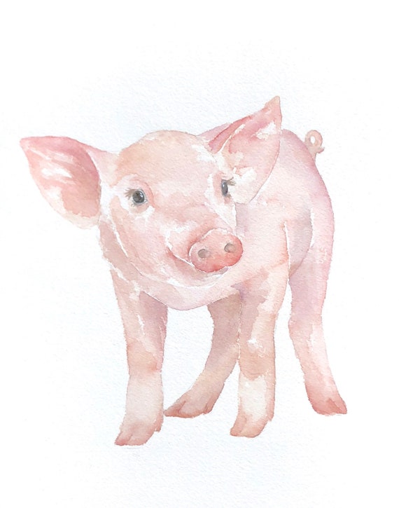 Cochon Daquarelle Art De Bebe Cochon Porcelet Art Animal Etsy