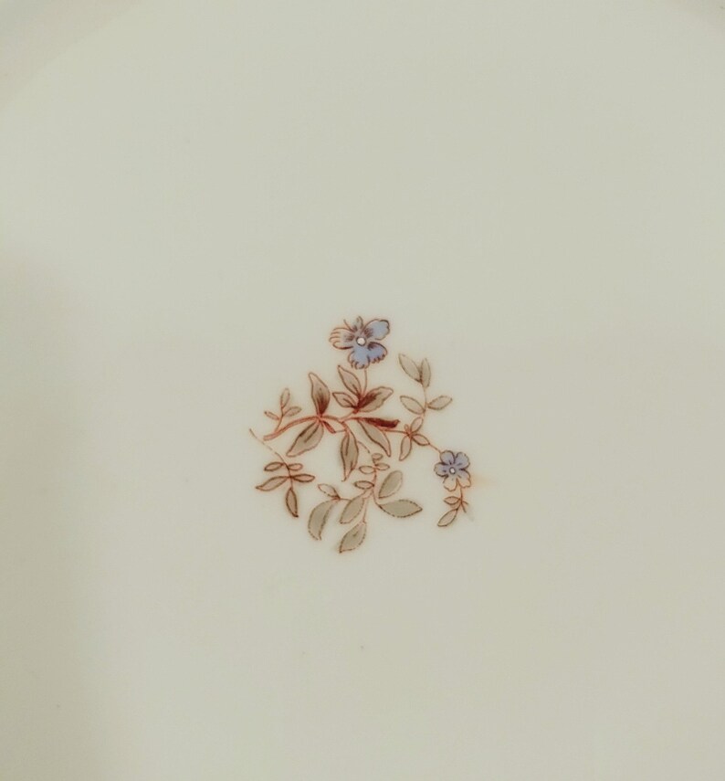 May include: A white ceramic plate with a delicate floral design in shades of brown and blue. The design features a small sprig of leaves and flowers.