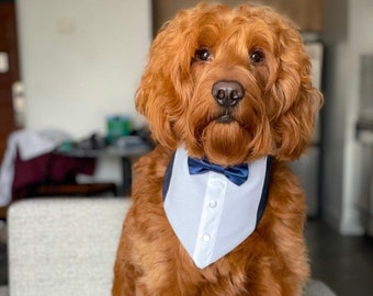 Grey Dog Tuxedo |Pet wedding tuxedo | Dog Suit | Dog Tux | Pet Tuxedo | Cat Tuxedo | Dog wedding attire | Dog Best man