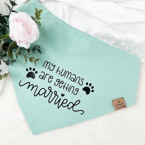 May include: A light blue dog bandana with black paw prints and the text "My humans are getting married".