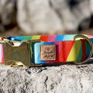 Rainbow Dog Collar