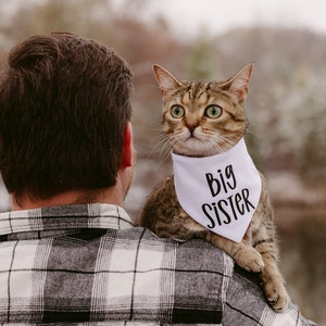 Pregnancy announcement cat bandana, big sister dog bandana