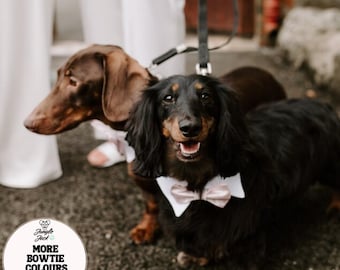 Dog Wedding Collar with Silk Bowtie: Handmade Pet Ring Bearer Attire