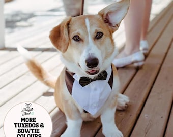 Dog Tuxedo Wedding Outfit: Formal Ring Bearer Suit