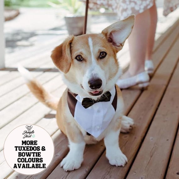 Dog Tuxedo Wedding Outfit: Formal Ring Bearer Suit