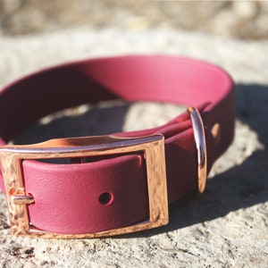 Collar y correa impermeable para perros en Borgoña