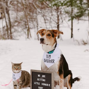 Pregnancy Announcement Dog Bandana, Big Brother Bandana, Big Brother cat Bandana, My parents are getting a human, Big sister dog bandana image 1