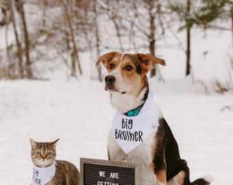 Pregnancy Announcement Dog Bandana – Promoted to Big Brother/Sister – Baby Reveal Pet Bandana – New Baby Announcement – Custom Dog Bandana