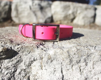 Waterproof Dog Collar and Leash in Hot Pink