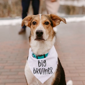 Pregnancy announcement dog bandana, big brother dog bandana