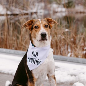 Pregnancy Announcement Dog Bandana, Big Brother Bandana, Big Brother cat Bandana, My parents are getting a human, Big sister dog bandana image 2