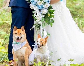 Light Blue Dog Tuxedo | Adorable Dog & Cat Wedding Tuxedo, Stylish Pet Suit for Special Occasions, Wedding dog attire