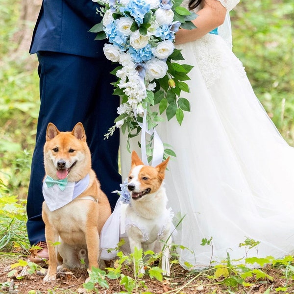 Light Blue Dog Tuxedo | Adorable Dog & Cat Wedding Tuxedo, Stylish Pet Suit for Special Occasions, Wedding dog attire