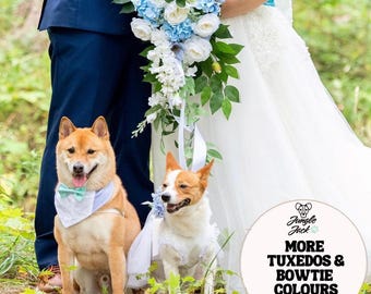 Light Blue Dog Tuxedo: Handmade Cotton Pet Wedding Suit