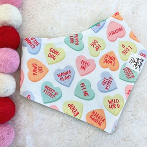 Valentine's dog Bandana Candy Hearts Dog/Cat bandana Love Dog bandana image 2