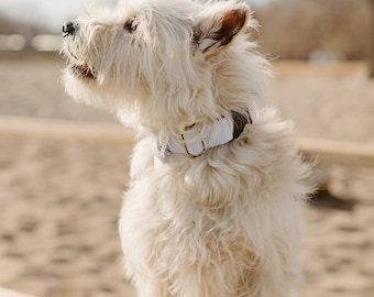 Collar de perro con lazo azul: collar elegante para mascotas hecho a mano