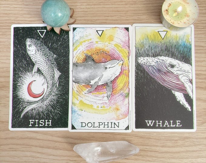 Meet Your Animal Spirit Guides