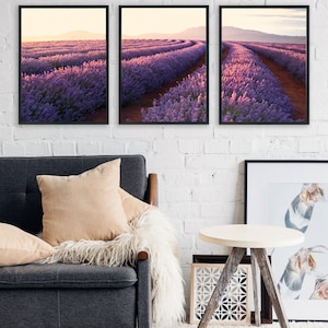 Set of 3 Australian Lavender Farm Wall Art Print, Lavender Fields, Nature Printable, Living Room Wall Art, Flower Print, Downloadable Prints zdjęcie 3