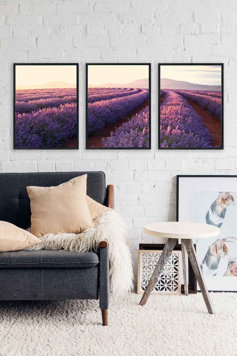 Set of 3 Australian Lavender Farm Wall Art Print, Lavender Fields, Nature Printable, Living Room Wall Art, Flower Print, Downloadable Prints zdjęcie 3