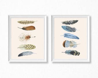 Feather Downloadable Print, Digital Print, Nature Prints, Set of Prints, Australian Gifts, Feather Wall Art, Feather Prints, Home Decor