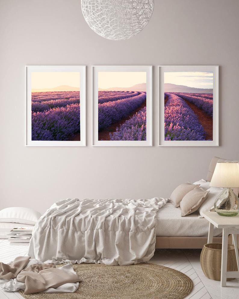 Set of 3 Australian Lavender Farm Wall Art Print, Lavender Fields, Nature Printable, Living Room Wall Art, Flower Print, Downloadable Prints image 1