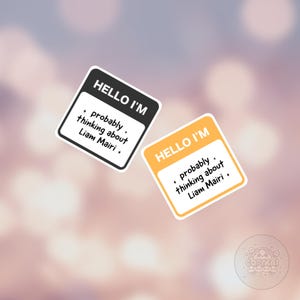 Probably thinking of Liam Mairi Sticker, Fourth Wing Sticker, Xaden Sticker, Fantasy Sticker for Kindle, Fantasy Book Sticker, Onyx Storm