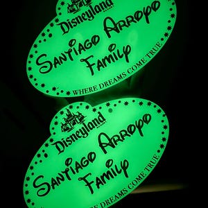 Disneyland/DisneyWorld Castmember Name Tag Stroller Tag
