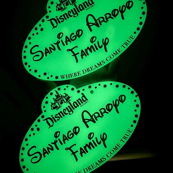 Disneyland/DisneyWorld Castmember Name Tag Stroller Tag