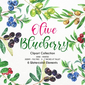 Watercolor blueberry clipart,Blue Berries,blueberry wreath,blueberry branch,blueberries,blueberry,olive oil,blueberry invite,wedding|WCOL_02