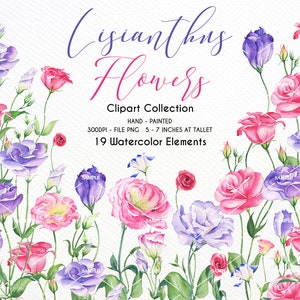 Watercolor Clipart Lisianthus flowers,Lisianthus Elements,Lisianthus flowers,Lisianthus Invitation, Wedding Lisianthus flowers| WCLI_02