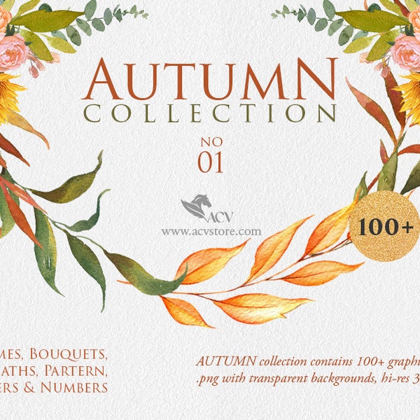 Acquerello Autunno Fiore Clipart,corone Autline Clipart,Boutique Autunno Clipart,Modello Autunno Clipart,Clipart Numerico Alfabetico Autunno/C901FS