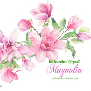 Watercolor Clipart Pink Magnolia,Magnolia Elements,botanical flowers,Magnolia Invitation,Hand Painted,Wedding Pink flowers| WC.MG.05