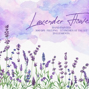 Watercolor Lavender Clipart,Vintage Lavandula,Lavender wreaths watercolor,Romantic violet purple flowers tender, wedding invitations|WCLF_01
