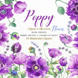 Acuarela Violet Poppy, elementos pintados a mano, flores violetas, invitaciones de boda, boho, imágenes prediseñadas marco floral, tarjeta de felicitación / WCAF_03