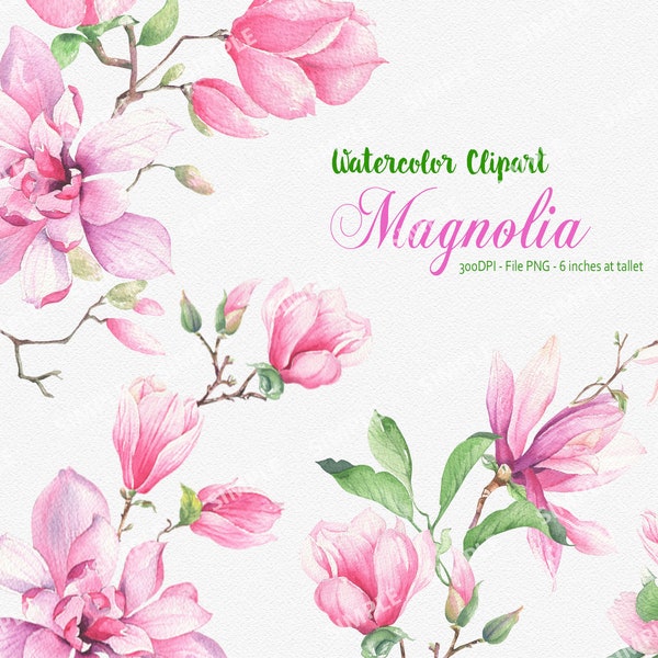 Watercolor magnolia clipart,Watercolor flowers,Floral watercolor design elements,Pink flowers, Hand painted watercolor tropical | WC.MG.01