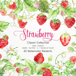 Pode incluir: Uma cole&ccedil;&atilde;o de clipart de aquarela de 32 elementos de morango, com morangos vermelhos com folhas verdes e flores brancas. Os morangos s&atilde;o pintados &agrave; m&atilde;o e v&ecirc;m em uma variedade de tamanhos e posi&ccedil;&otilde;es. O texto "Strawberry Clipart Collection" est&aacute; escrito em it&aacute;lico rosa.