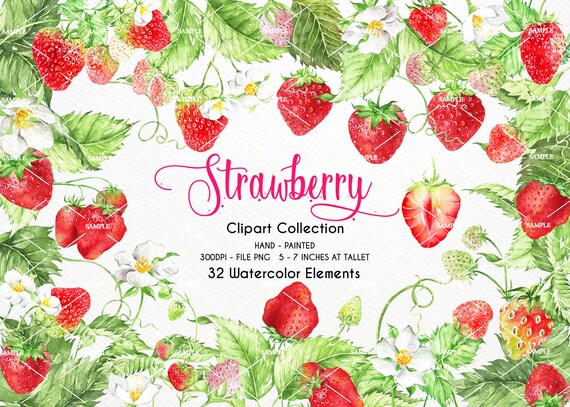 Watercolor Strawberry Clipart. Wedding clipart Invitation clipart Wreath. Strawberry Clipart Summer Strawberry Clipart | WCST_01