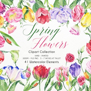 Watercolor Tulip Flower Clipart,Tulip Lisianthus Flower clipart,Tulip Flower Sunflower Summer,Tulip Lisianthus flowers Flower | WCSP_01