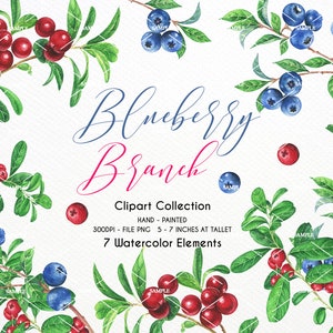 Watercolor blueberry clipart,Watercolor Clipart Blue Berries,olive wreath,olive branch,blueberries,botantical blueberry,olive oil|WCOL_02