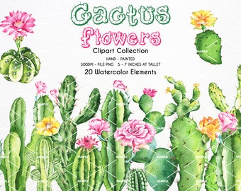 Watercolor Cactus Clipart,Cactus clipart,succulent watercolor,Cactus watercolor,Clipart Cactus,Wedding Sunflowers clipart| WCCT_01