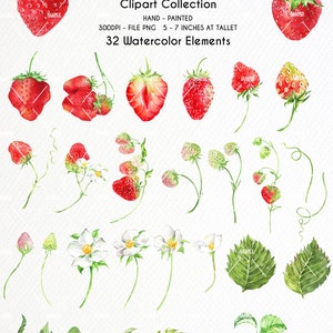 Pode incluir: Um conjunto de 32 ilustra&ccedil;&otilde;es de aquarela de morangos, folhas e flores. As ilustra&ccedil;&otilde;es s&atilde;o pintadas &agrave; m&atilde;o e perfeitas para criar designs digitais ou impressos.
