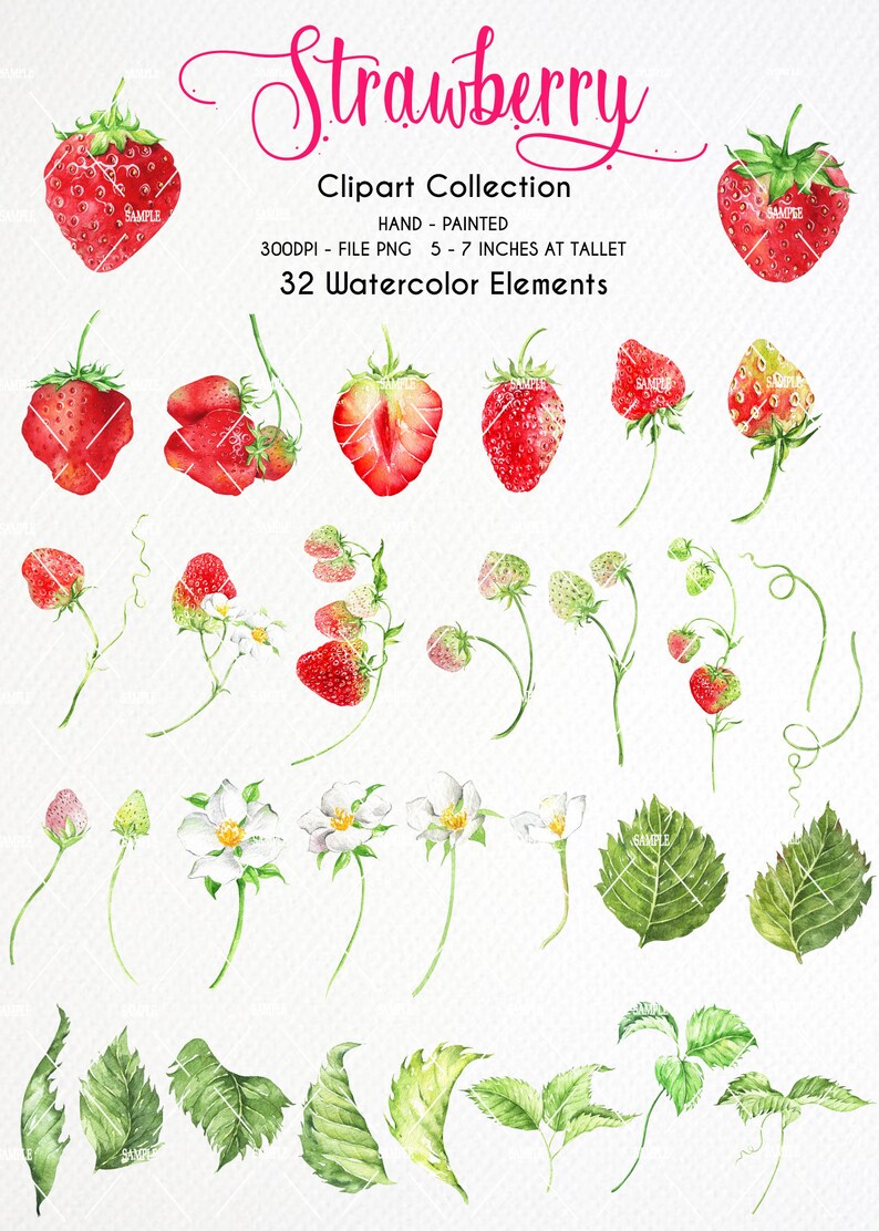 Pode incluir: Um conjunto de 32 ilustra&ccedil;&otilde;es de aquarela de morangos, folhas e flores. As ilustra&ccedil;&otilde;es s&atilde;o pintadas &agrave; m&atilde;o e perfeitas para criar designs digitais ou impressos.