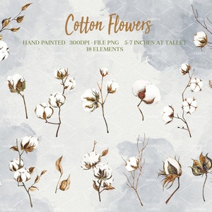 Cotton Watercolor Clipart,Watercolor Cotton Wreath & Bouquets,Clip Art White Gossypium,Flowers Clip Art Rustic Cotton,Winter Cotton| WCCF_01